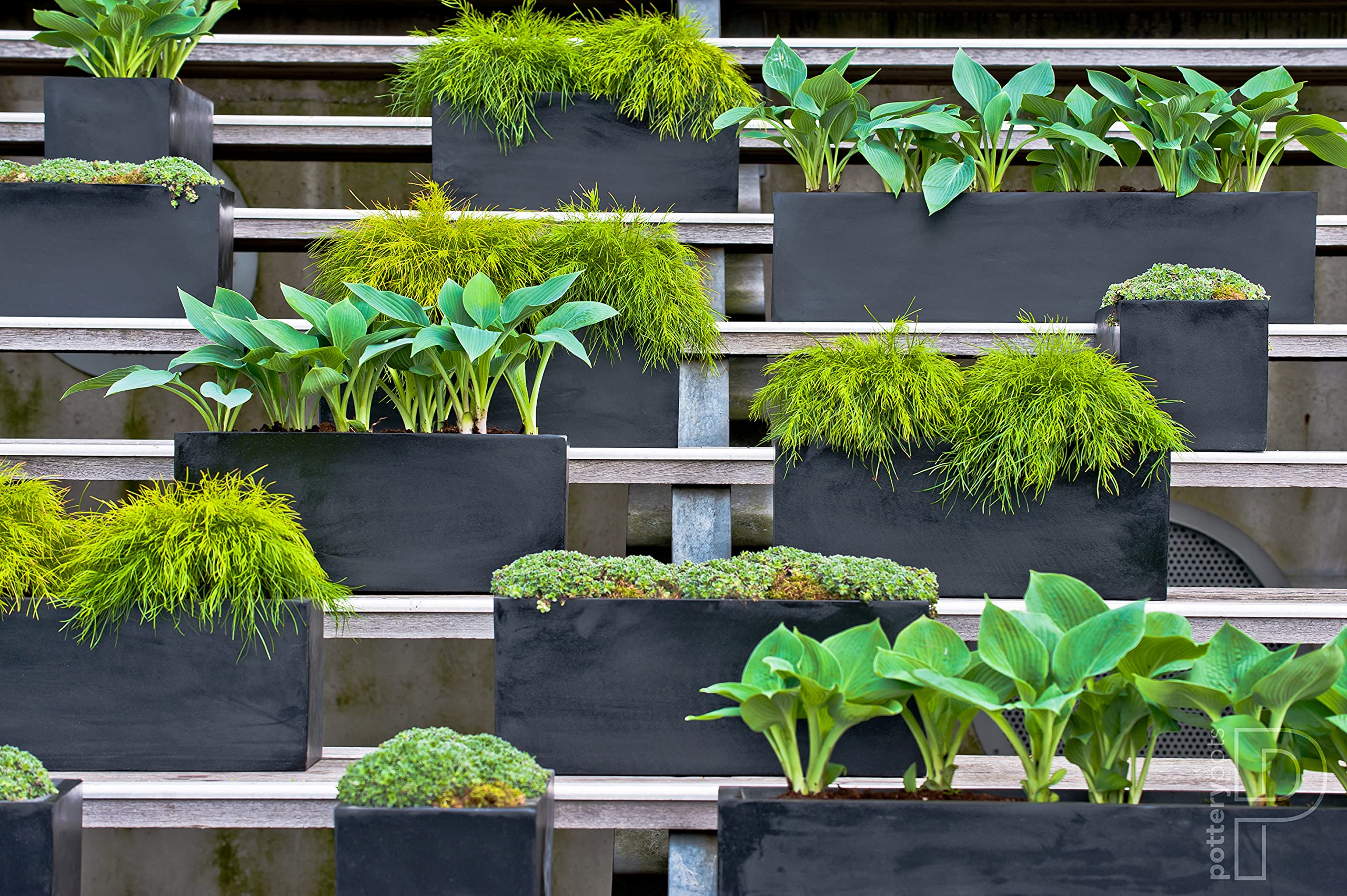 Modern Black Rectangular Flower Pot - 8