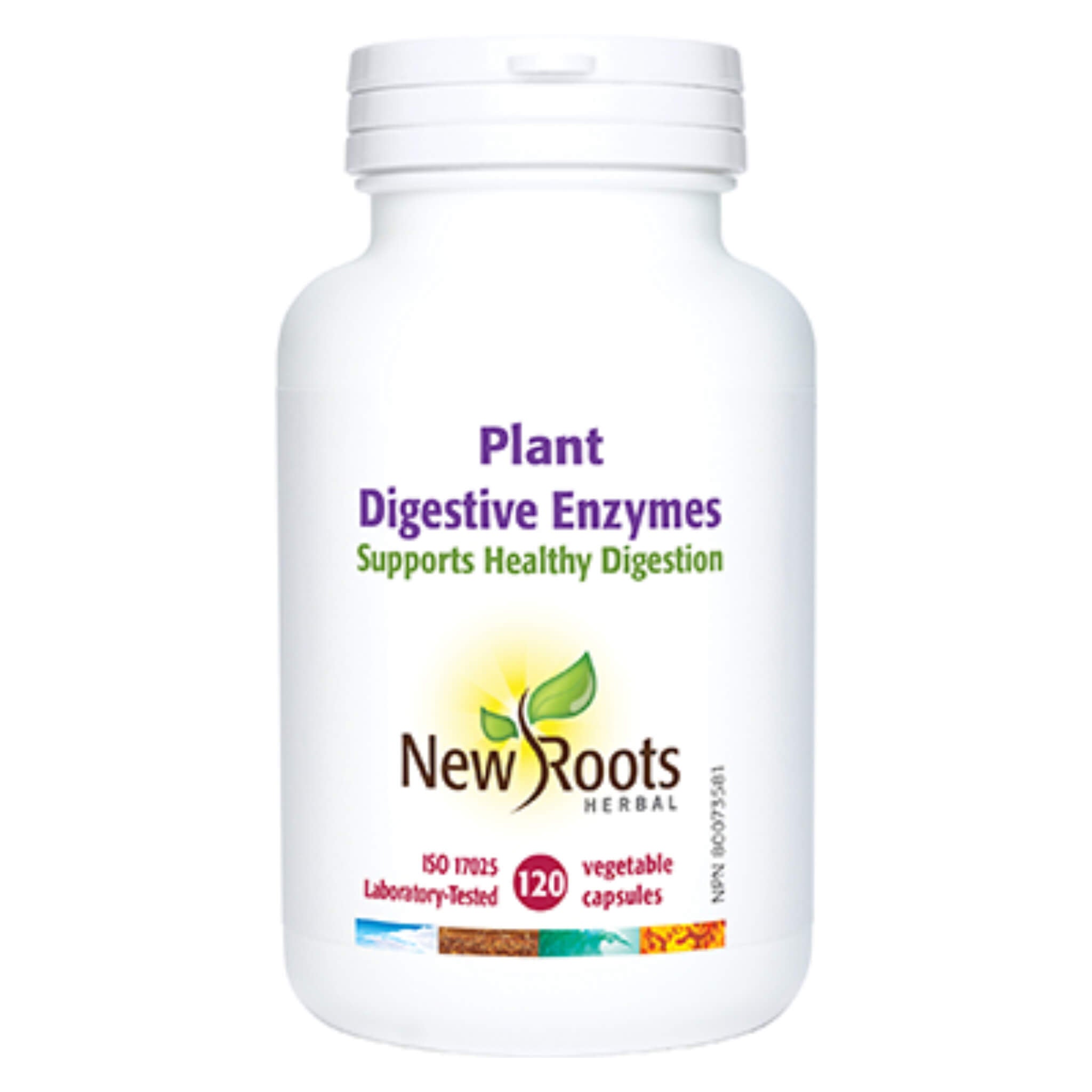 Best Plant-Based Digestive Enzymes 375mg Supplement for Gut Health & Digestion Support – Ideal for Bloating, Gas Relief & Nutrient Absorption