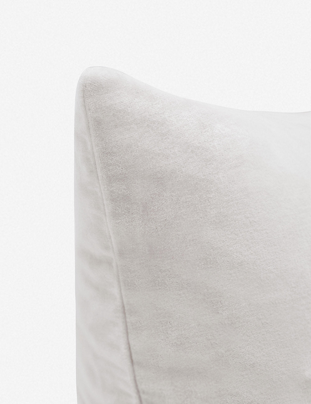 Charlotte Velvet Pillow - Soft Luxury Decorative Throw Pillow for Sofa, Bed & Couch - Perfect for Living Room, Bedroom & Home Decor