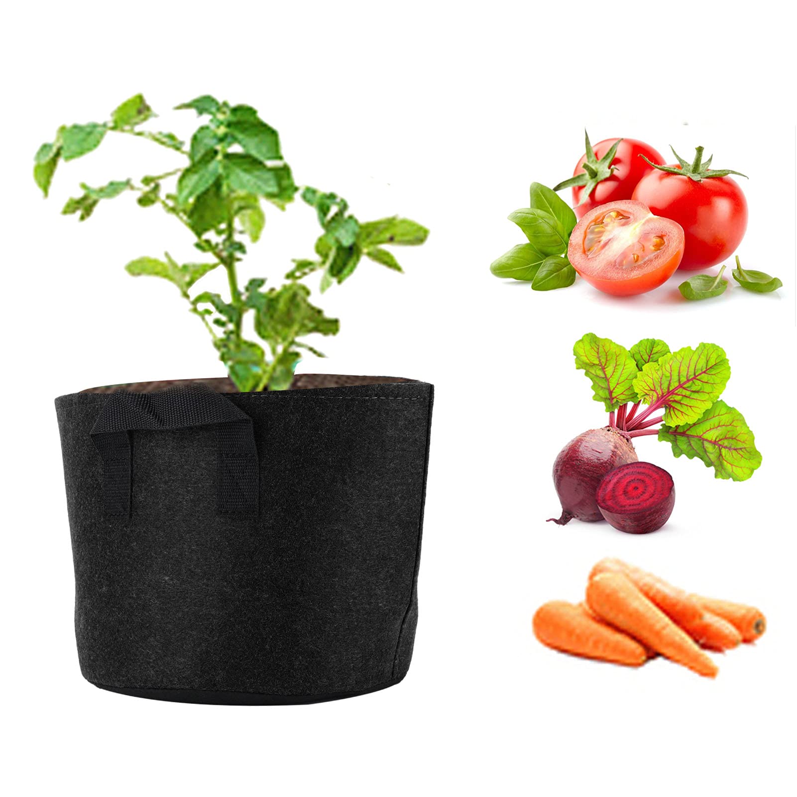 BTIHCEUOT 3 Gallon Grow Bags - Lightweight Plant Planter Pots for Garden, Balcony, Greenhouse & Outdoor Use (Black) | Perfect for Vegetables, Herbs, Flowers & Container Gardening