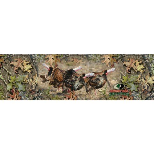 Wild Turkey
