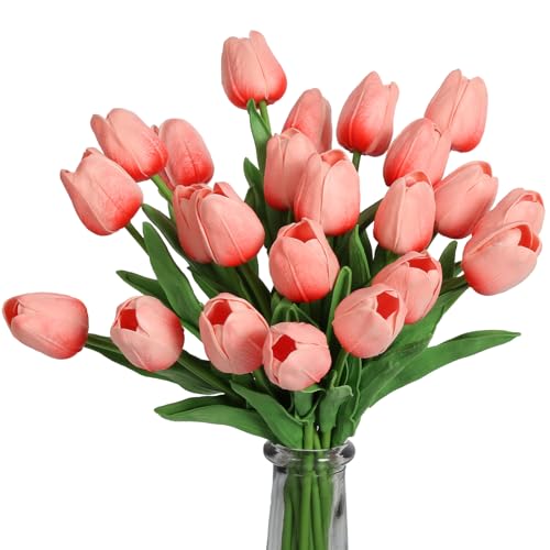24pcs-coral