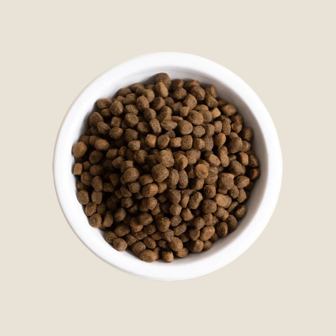 Open Farm Salmon & Ancient Grains Puppy Recipe - Premium Dry Dog Food for Puppies - High Protein Grain-Inclusive Kibble for Healthy Growth - Perfect for Small & Medium Breed Puppies at Home or Outdoor Adventures
