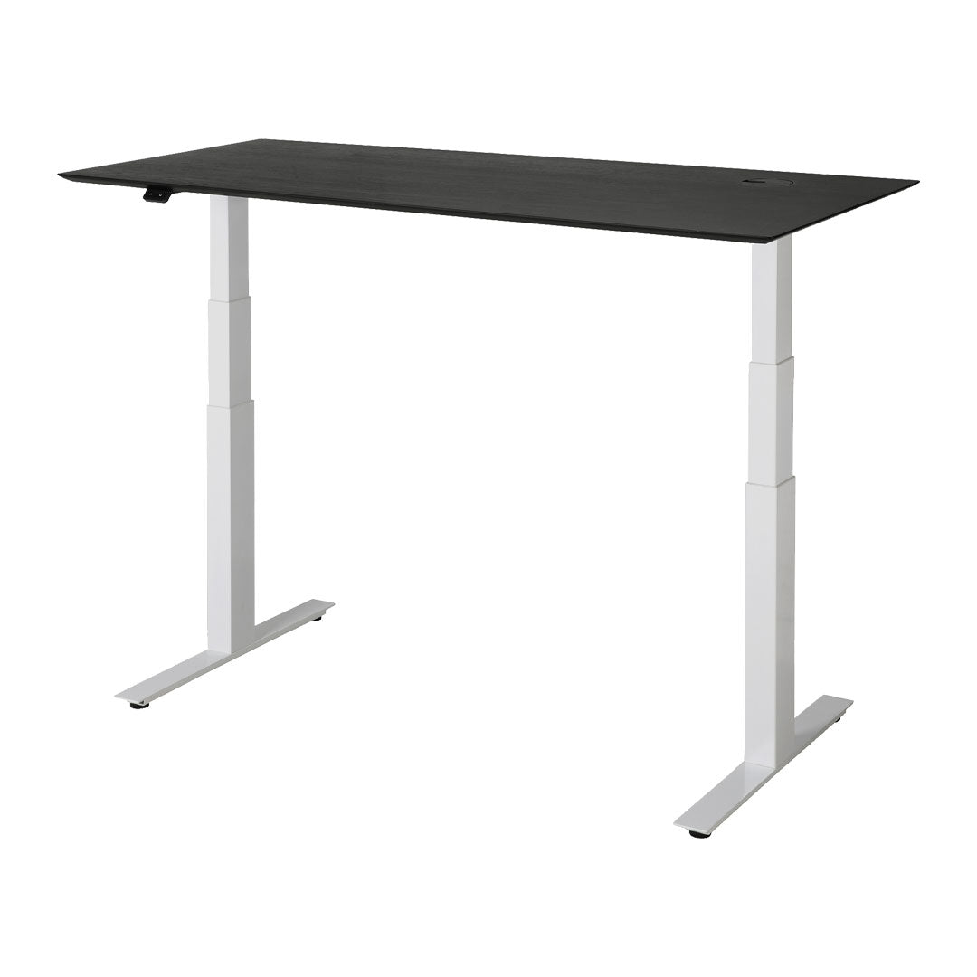 Adjustable Standing Desk - Ergonomic Height Adjustable Computer Desk for Home & Office - Perfect for Work from Home, Gaming & Study