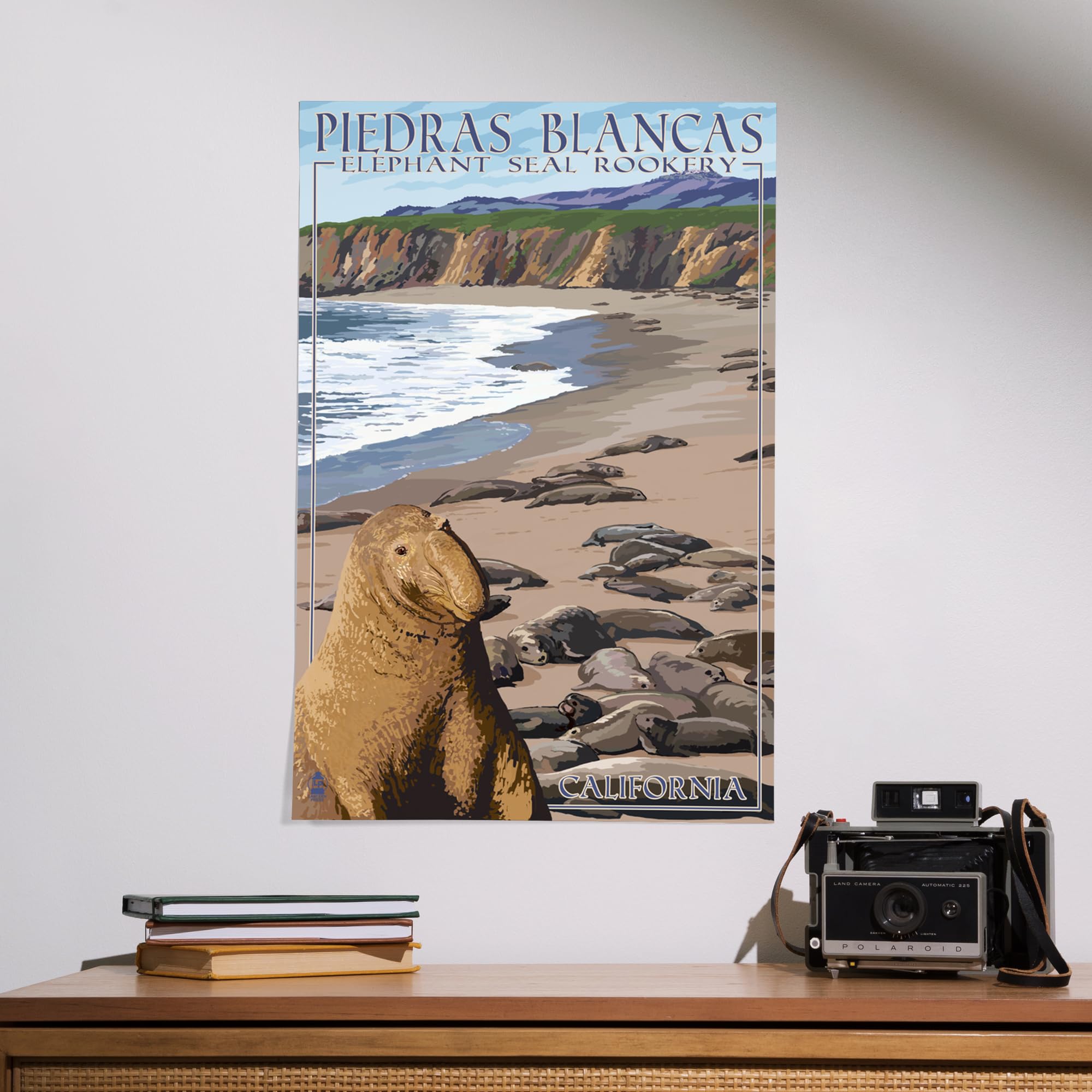 Lantern Press 16x24 Inch Giclee Art Print - California Coastal Landscape with Piedras Blancas Elephant Seals | Premium Wall Decor for Living Room, Office & Beach House