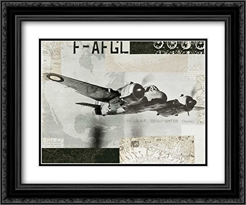 Wild Apple Portfolio 17x15 Black Ornate Framed Double Matted Museum Art Print - Wings Collage III Wall Decor for Living Room, Bedroom & Office