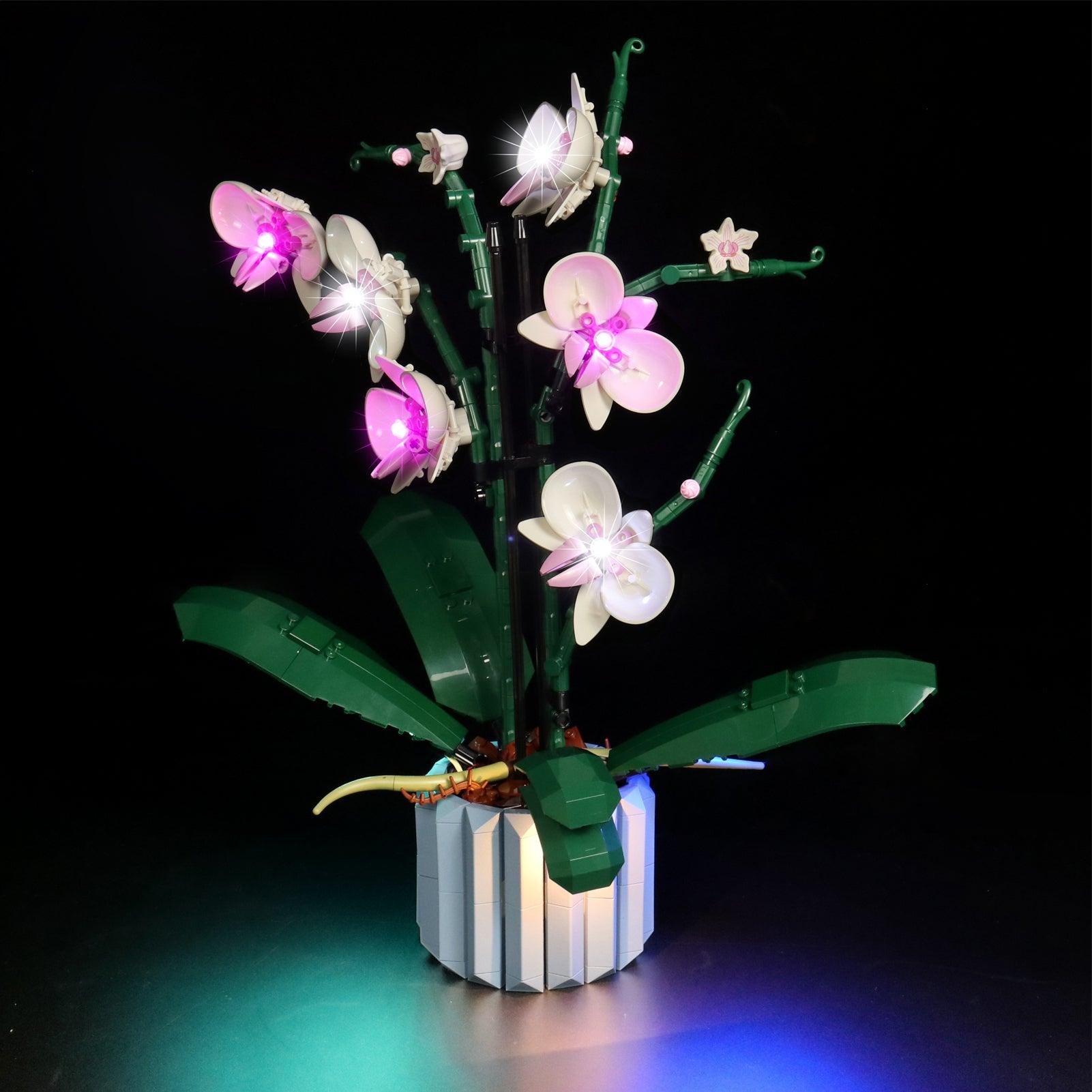 Premium LED Light Kit for Lego Ideas Orchid Plant Decor 10311 – Enhance Your Lego Flower Display with Realistic Lighting for Home & Office Decor