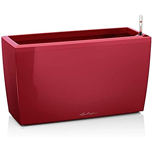 Scarled Red High-gloss