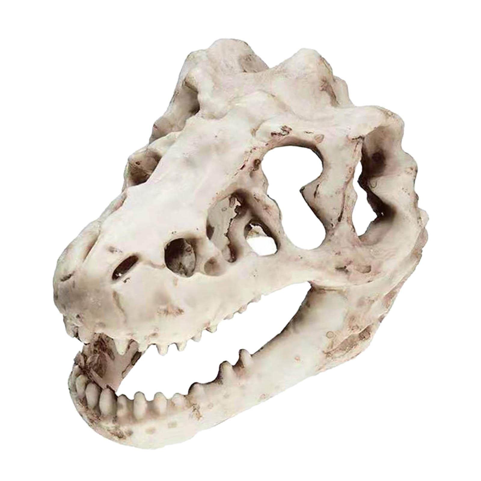 DOLITY Small Resin Dinosaur Skull Decoration - Aquarium & Reptile Tank Cave Accessory with Skeleton Hole - Perfect for Fish Tanks, Terrariums, and Reptile Habitats