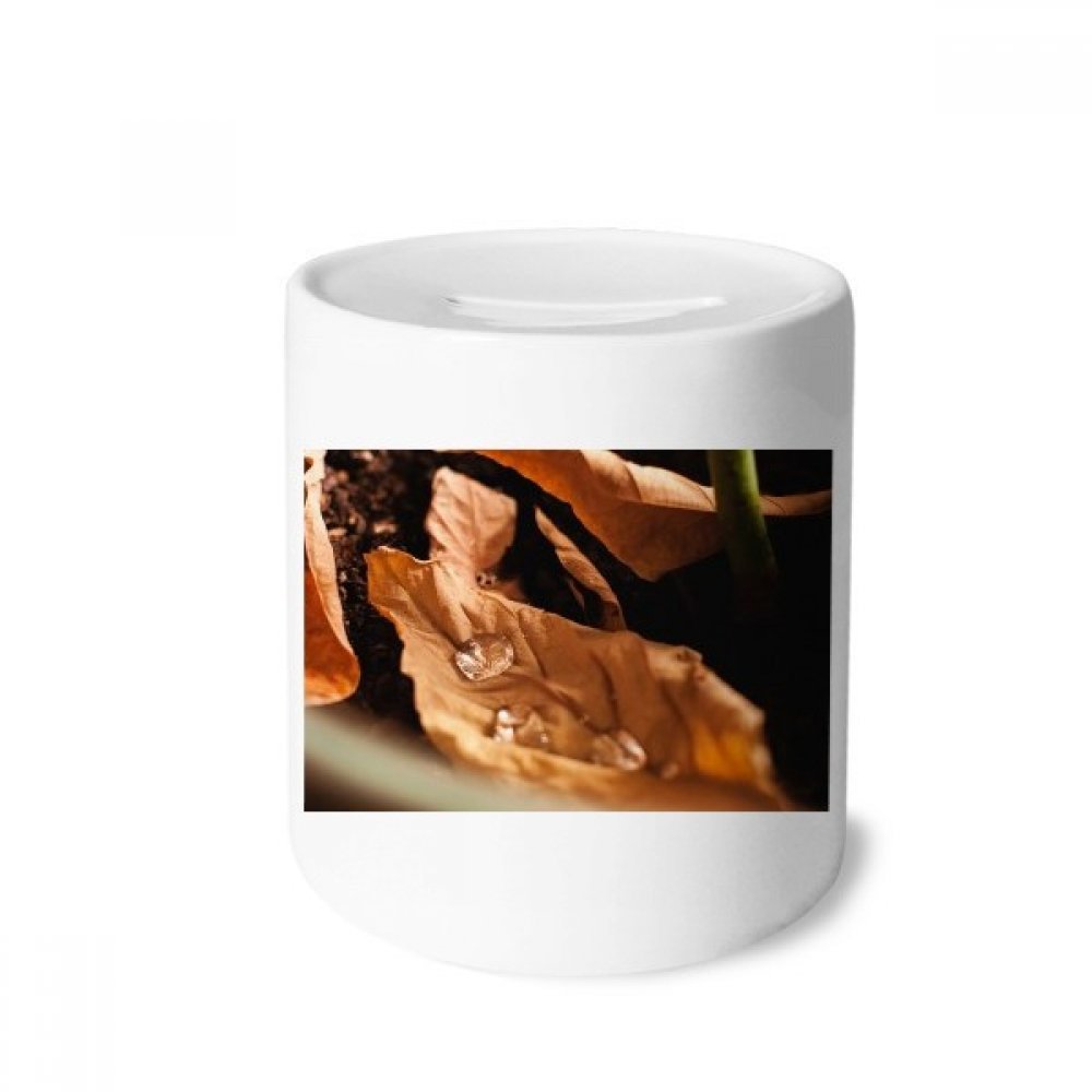 DIYthinker Ceramic Piggy Bank with Fallen Leaves & Plant Photography - Unique Coin Box for Savings, Home Decor, and Gift Giving - Perfect for Nature Lovers, Office Desk, and Kids' Room