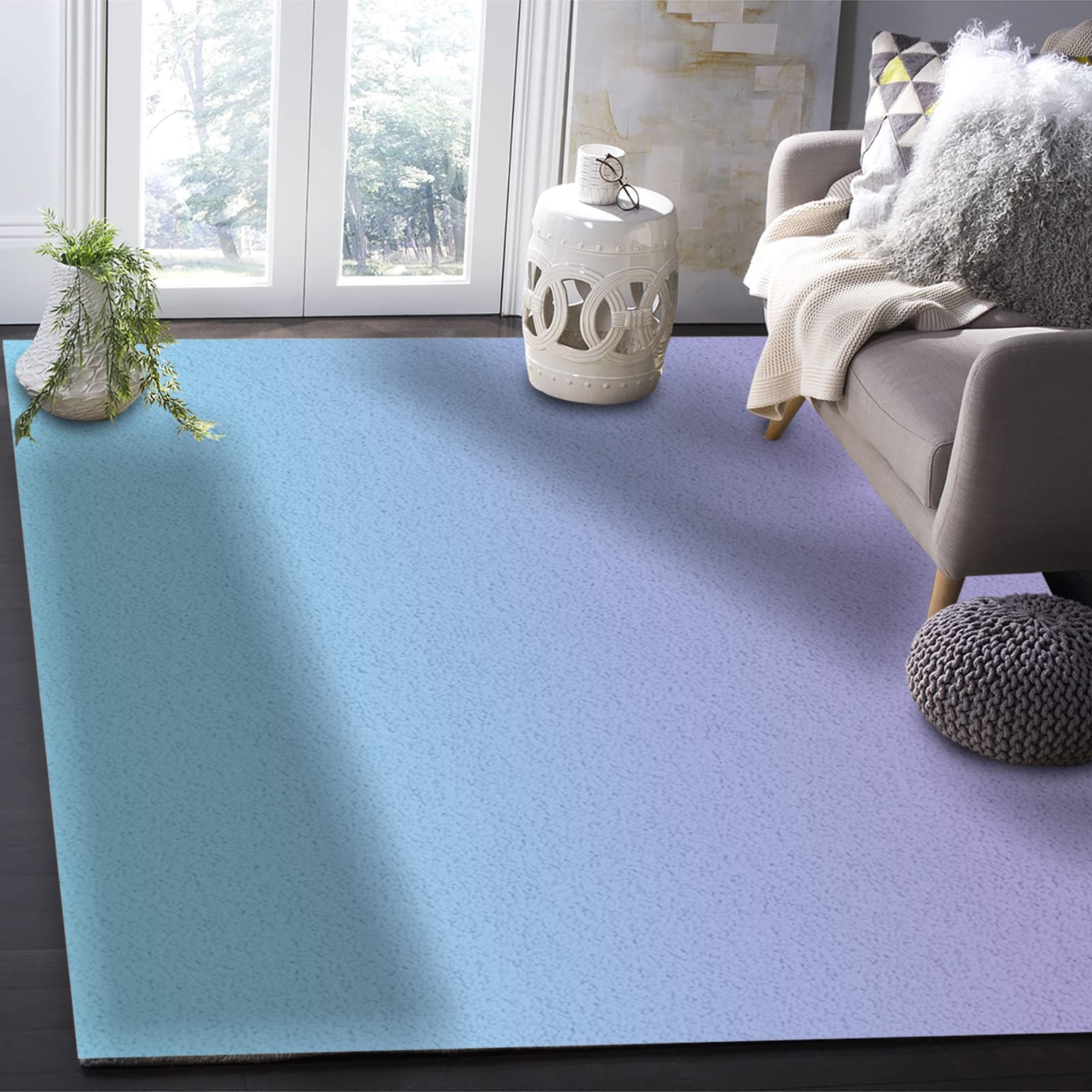 Large Non-Slip Area Rug 2'7