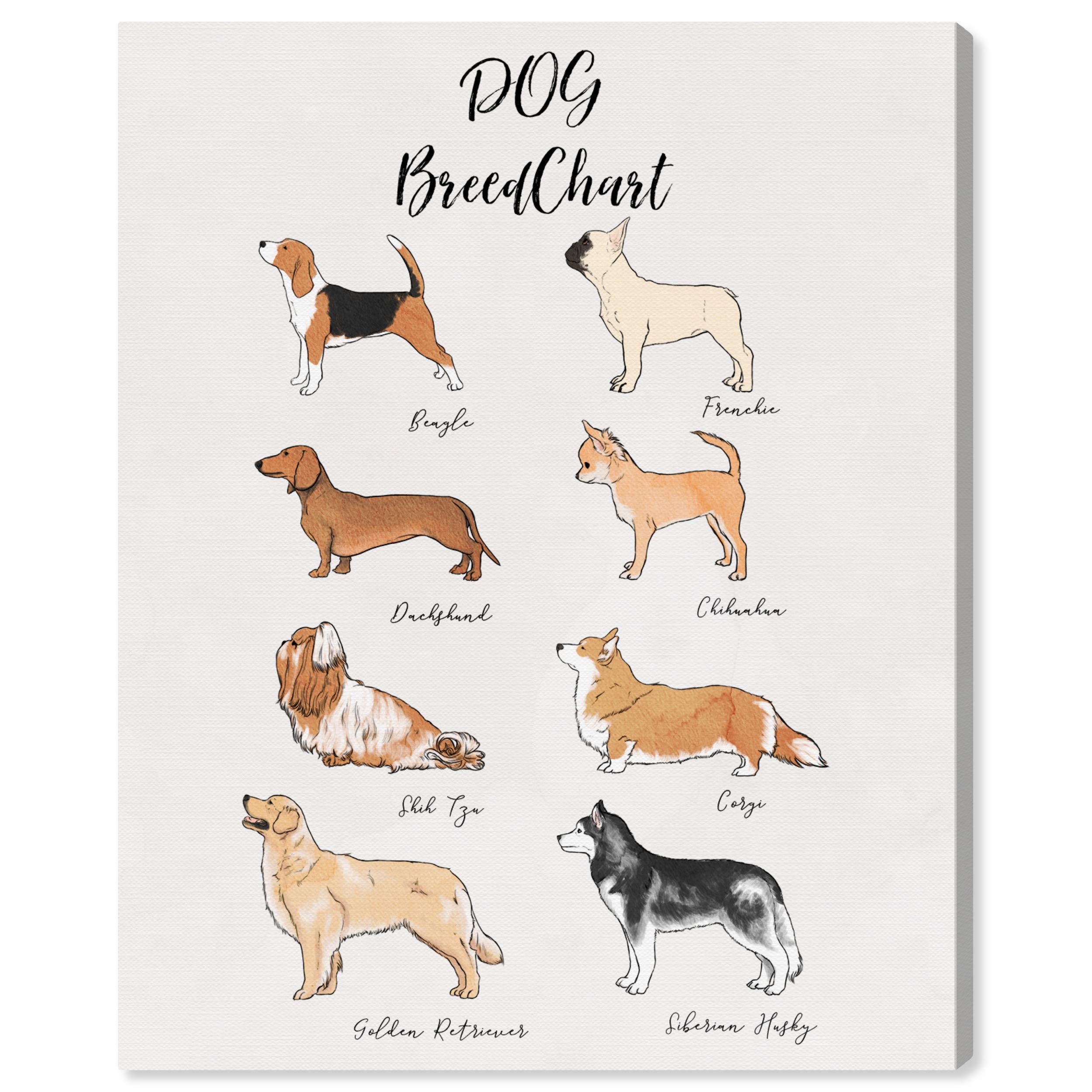 Oliver Gal Artist Co. Dog Breed Chart Wall Art Canvas Print - 30x36 Inch Animal Home Decor for Living Room, Bedroom & Office - White & Brown Modern Artwork