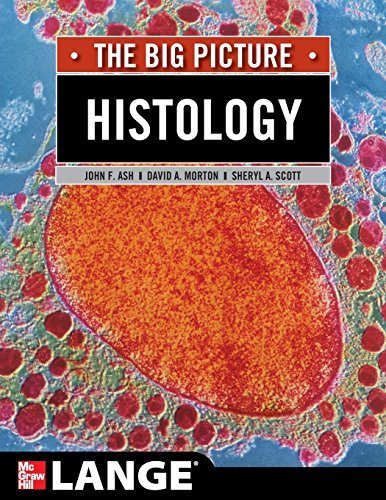Histology: The Big Picture (LANGE The Big Picture) by John Ash - Comprehensive Medical Textbook for Medical Students & Professionals | Perfect for Study, Research & Clinical Reference