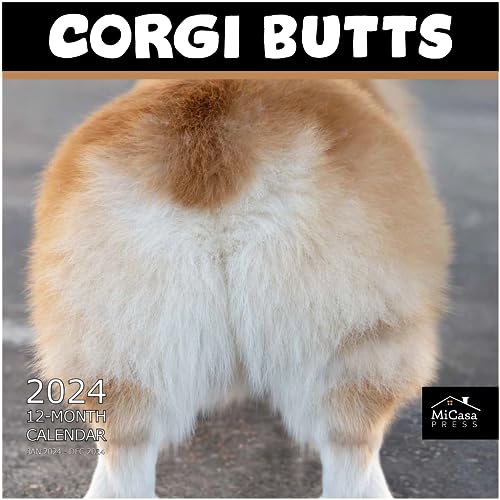 05 - Corgi Butts
