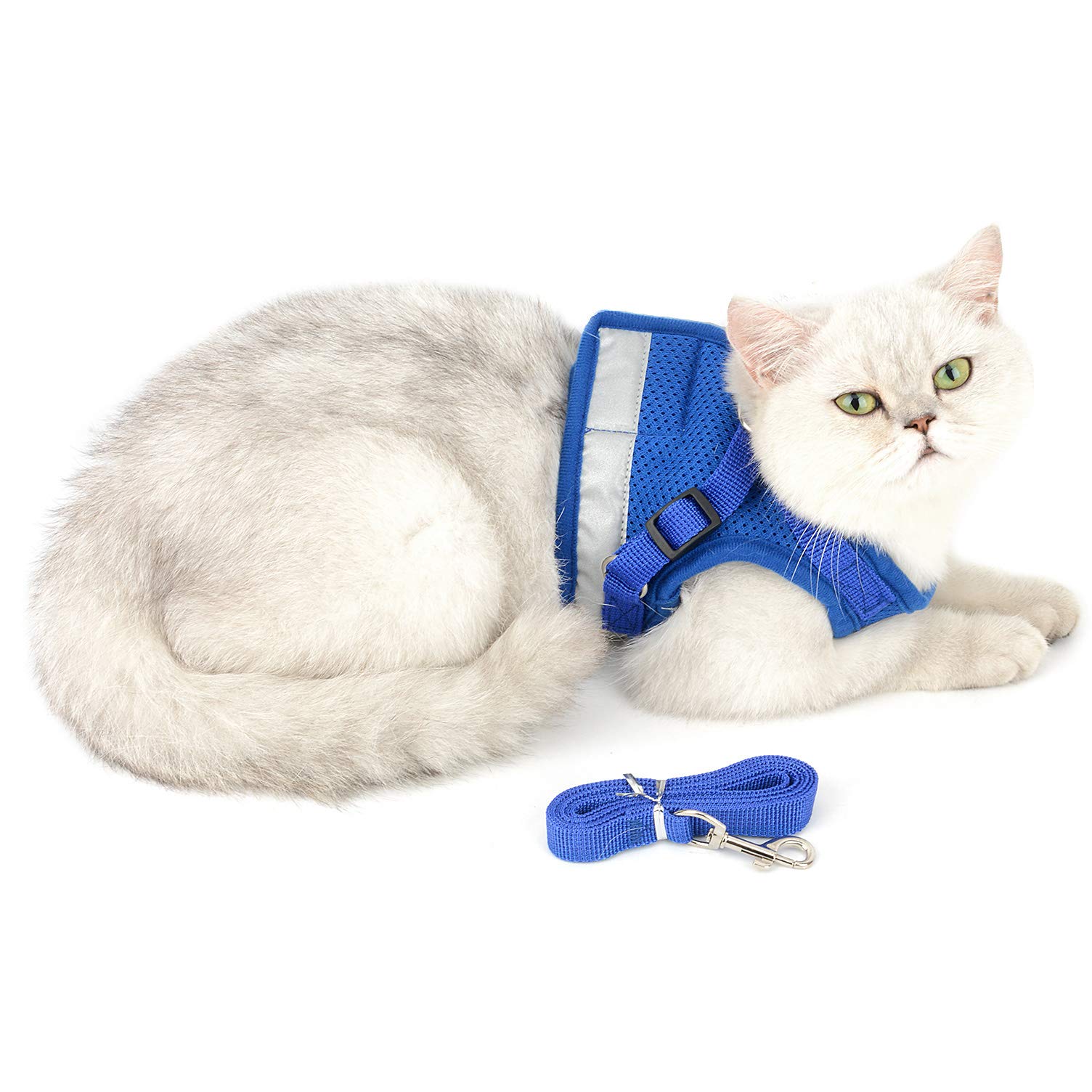 **Ranphy Escape-Proof Reflective Cat Harness & Leash Set – Adjustable No-Pull Soft Mesh Vest for Small Dogs & Cats – Lightweight Padded Walking Jacket for Puppy, Kitten, Boy & Girl – Training & Outdoor Adventures (Blue, XS)**    *(Use Cases: Perfect for safe walks, outdoor adventures, training sessions, and nighttime visibility with reflective strips.)*