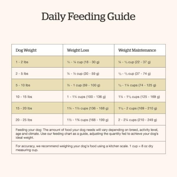 Now Fresh Good Gravy Salmon Recipe Small Breed Adult Dry Dog Food - Premium Grain-Free Salmon Dog Food for Small Dogs, High Protein & Omega-3 for Healthy Skin & Coat - Perfect for Indoor & Active Small Breed Adult Dogs