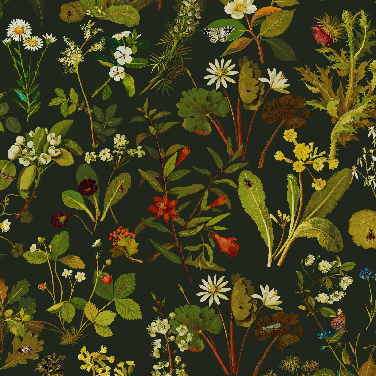 HERBARIUM Premium Forest Green Spruce Wallpaper Sample - Perfect for Living Room, Bedroom & Home Office Decor