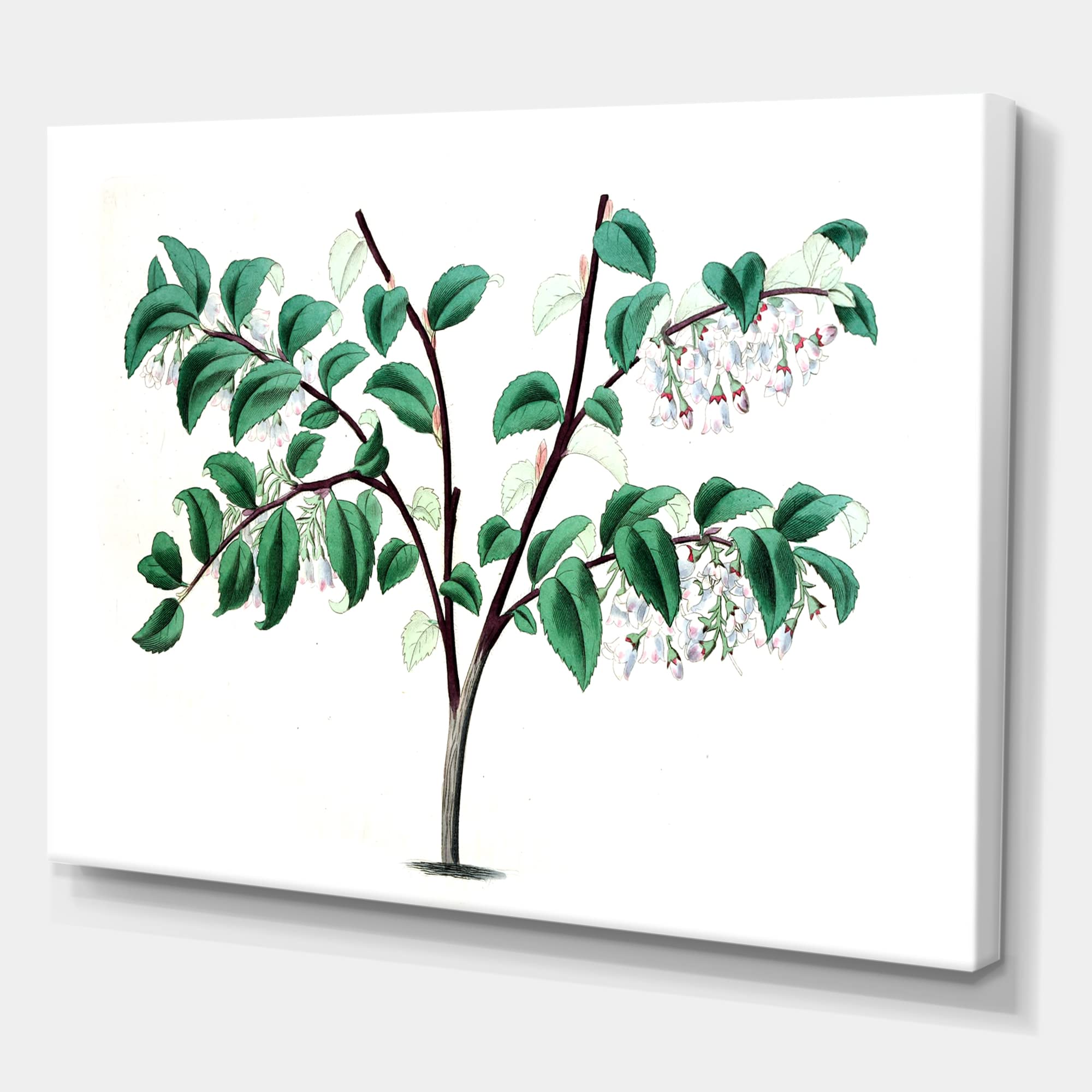 DesignQ Vintage Green Leaves Plants Traditional Canvas Wall Art - Nature-Inspired Home Decor for Living Room, Bedroom & Office