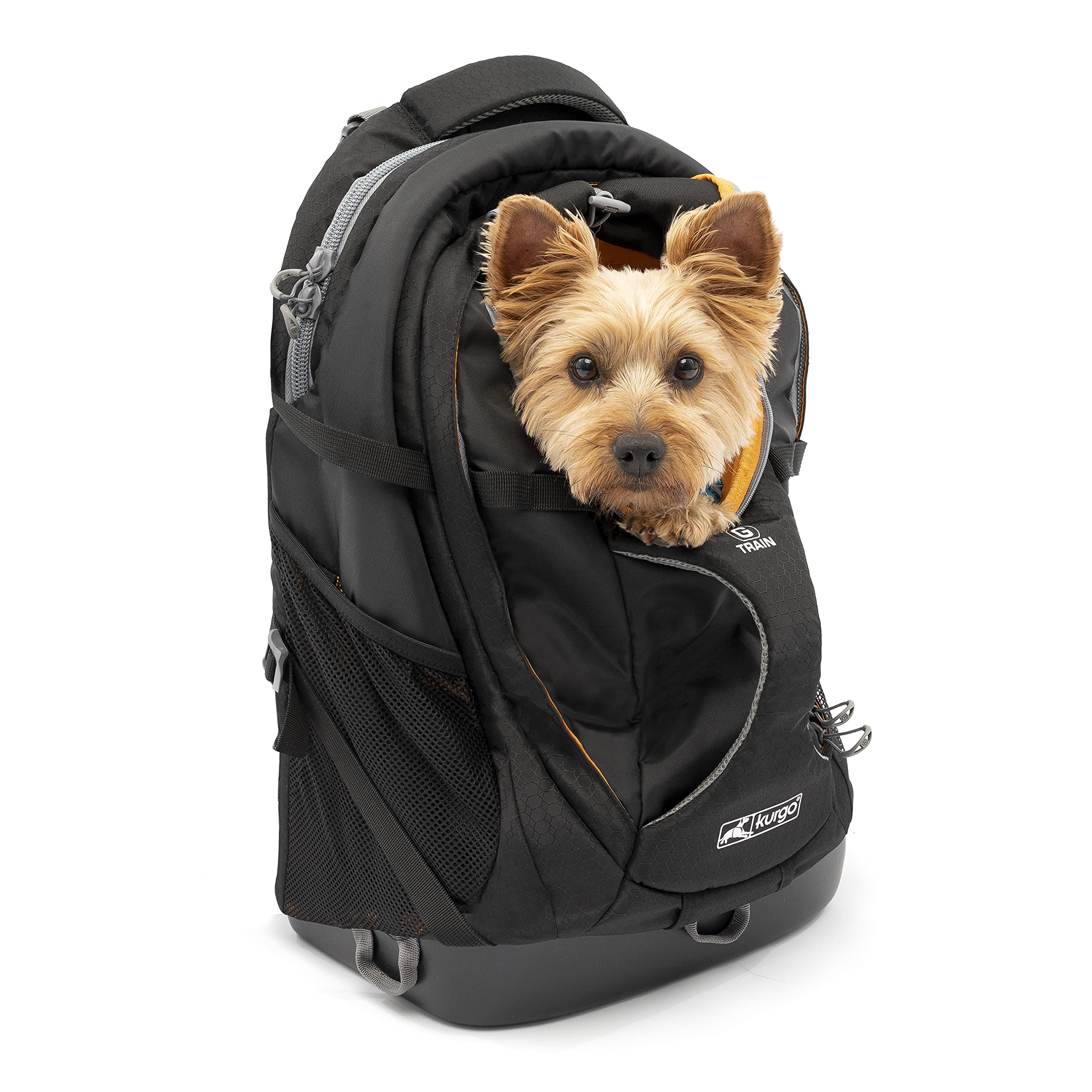 Kurgo G-Train Dog Carrier Backpack for Small Pets - Hiking, Camping & Travel Pet Carrier with Chest Straps & Hip Belt - Reflective, Waterproof Bottom & 2 Water Bottle Sleeves (Black) - Perfect for Outdoor Adventures, Air Travel & Daily Commutes