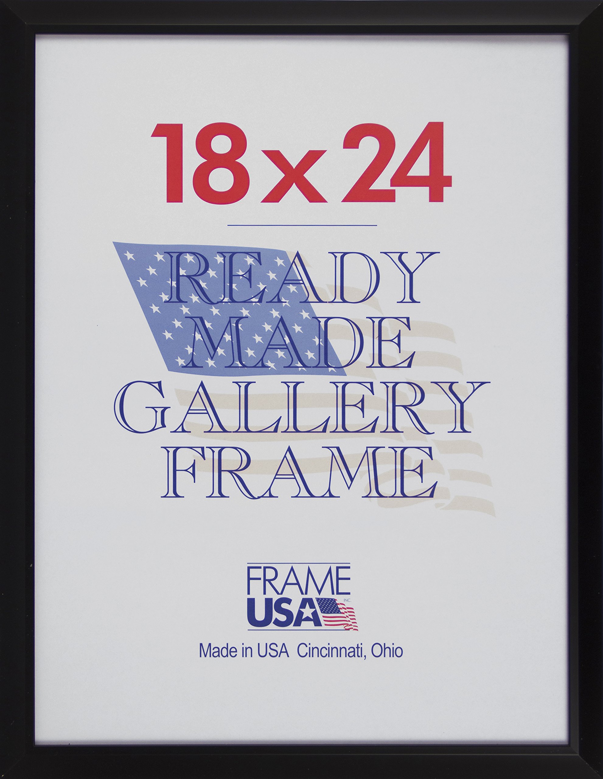 Frame USA Budget Saver Series 18x24 Polystyrene Poster Frames - Black - Lightweight & Affordable Wall Decor for Home, Office, or Classroom Display