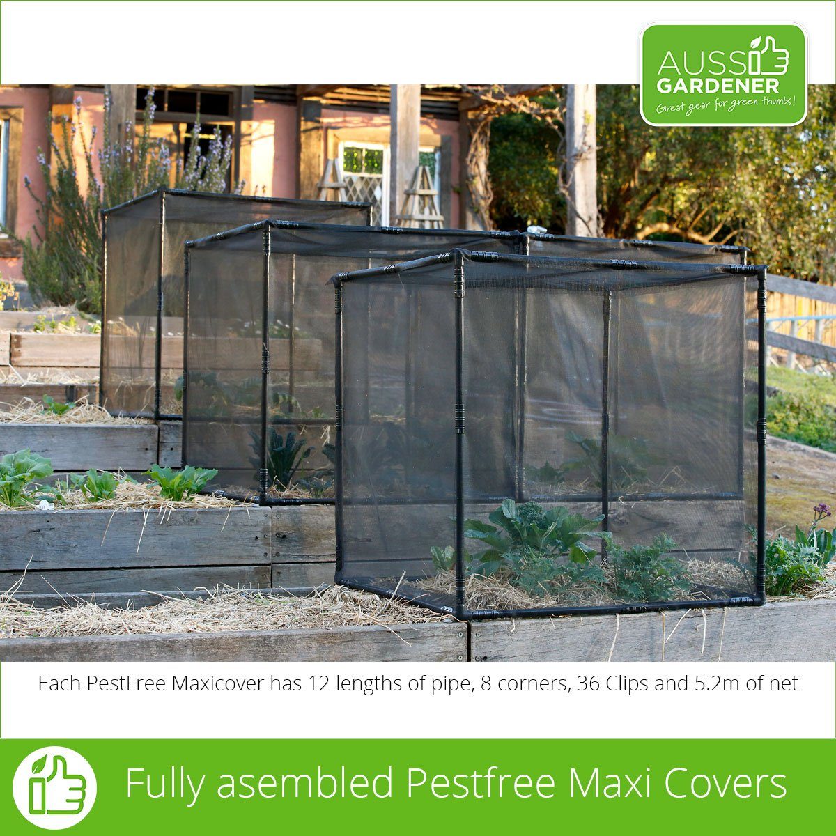 22mm Black Clips for Securing Netting to 20mm Pipe - Pest Control Garden Netting Fasteners for Plants & Greenhouses