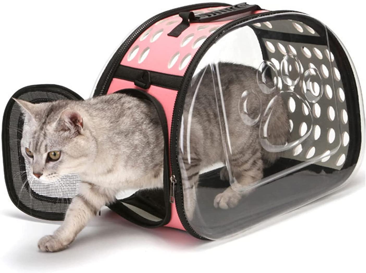 Emily Pets Transparent Collapsible Cat Carrier Backpack - Breathable Travel Bubble Pet Carrier for Cats & Small Dogs, Medium Size (Grey) - Perfect for Air Travel, Hiking, Vet Visits & Outdoor Adventures
