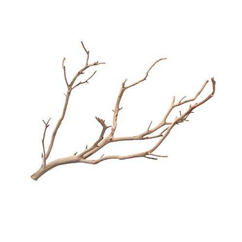 Natural Sandblasted Manzanita Branches 14