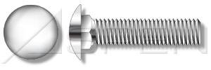 304 Stainless Steel Carriage Bolts 3/8