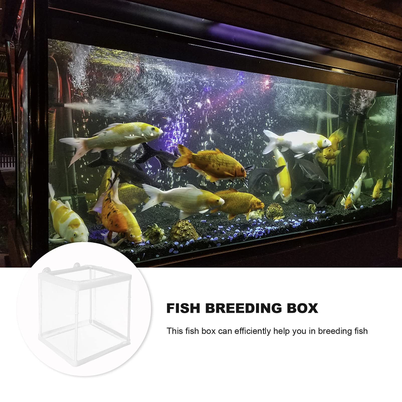 TEHAUX 1-Piece Fish Breeding Box with Net - Transparent Nursery Tank for Baby Fish, Aquarium Incubator with Water Dripping System - Ideal for Fish Tank Breeding, Fry Protection & Safe Environment (White) - Perfect for Home Aquariums, Fish Farms & Aquatic Hobbyists