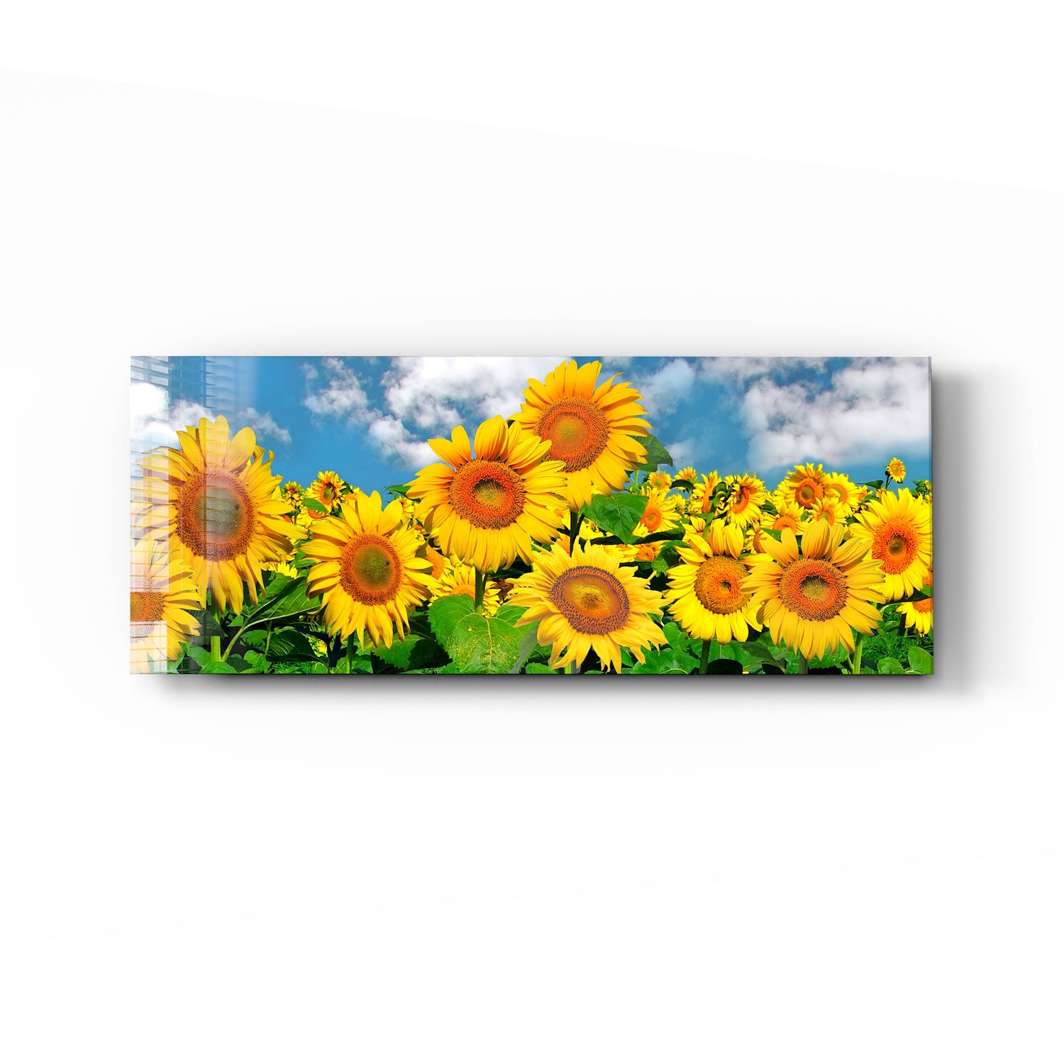 Happy Sunflowers Panoramic Wall Art - Vibrant Floral Decor for Living Room, Bedroom & Office - Perfect for Home & Office Decor