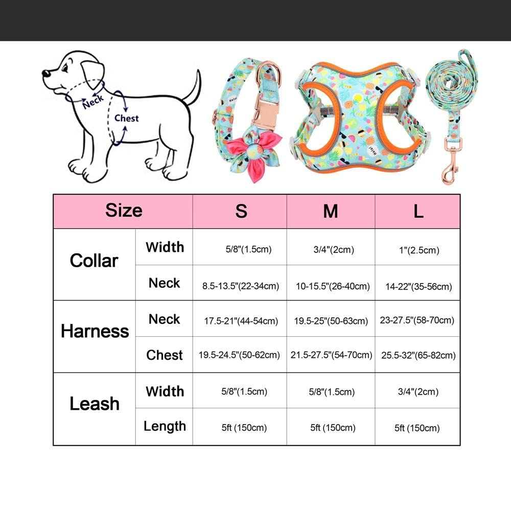 Premium Dog Harness and Leash Set - Adjustable Reflective Pet Collar with Soft Padded Vest for Medium & Large Dogs - Perfect for Walking, Hiking & Outdoor Adventures