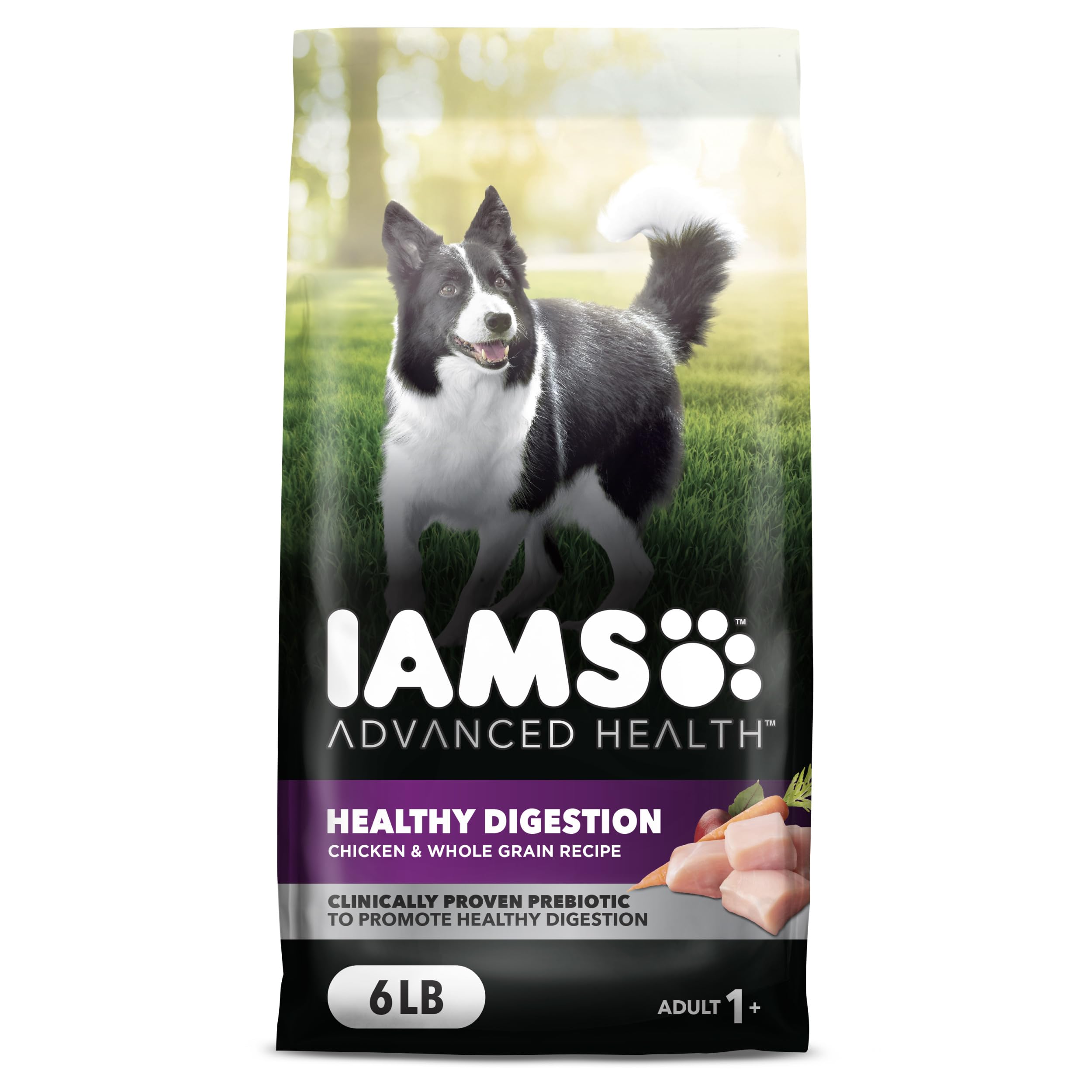 Iams Advanced Health Adult Healthy Digestion Dry Dog Food with Real Chicken - 6 lb Bag | Premium Nutrition for Sensitive Stomachs & Digestive Support | Perfect for Adult Dogs at Home or Travel