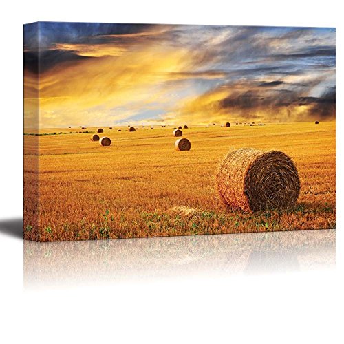 Golden Sunset