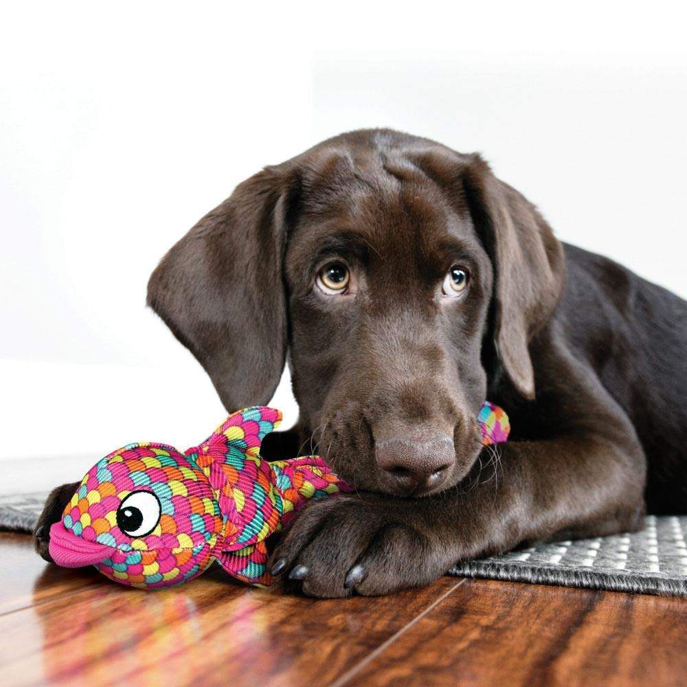 KONG Wubba Finz - Durable Tug of War & Fetch Dog Toy for Puppies & Dogs - Interactive Playtime for Indoor & Outdoor Use - Small Blue Dog Chew Toy - Perfect for Training, Exercise & Bonding with Your Pet