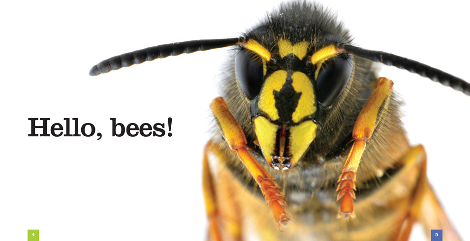 Bees: The Ultimate Guide to Beekeeping and Honey Production - 9781608184569 | Perfect for Beekeepers, Gardeners, and Nature Enthusiasts