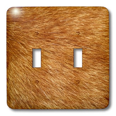 3dRose Orange Tabby Cat Fur Double Toggle Switch - Decorative Wall Plate Cover for Home & Office (lsp_80386_2)