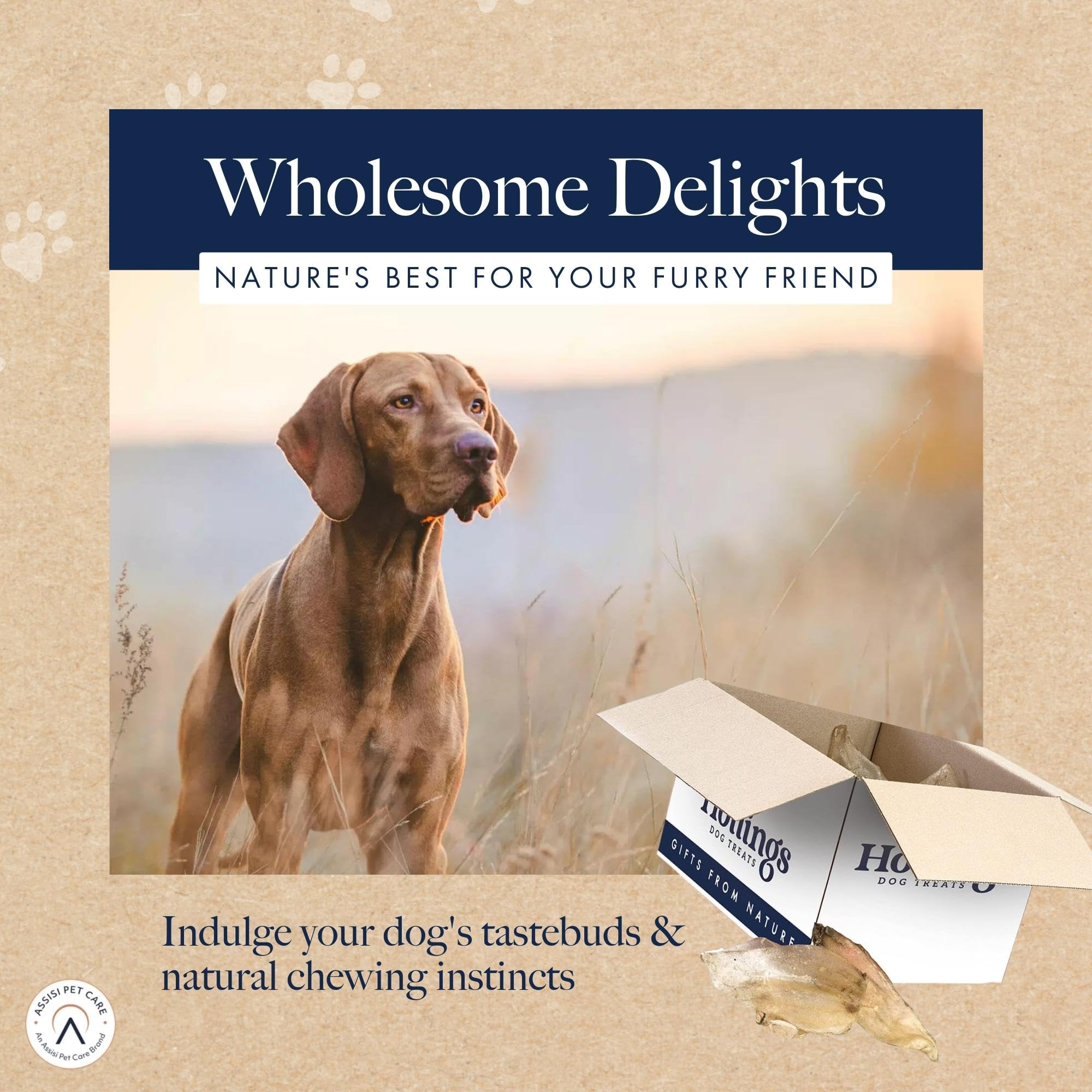 Premium Natural Cow Ears Dog Treats - 50 Pack Bulk Chews for Dogs - Healthy Dental Chews for Puppies & Adult Dogs - Perfect for Training, Teething & Long-Lasting Entertainment