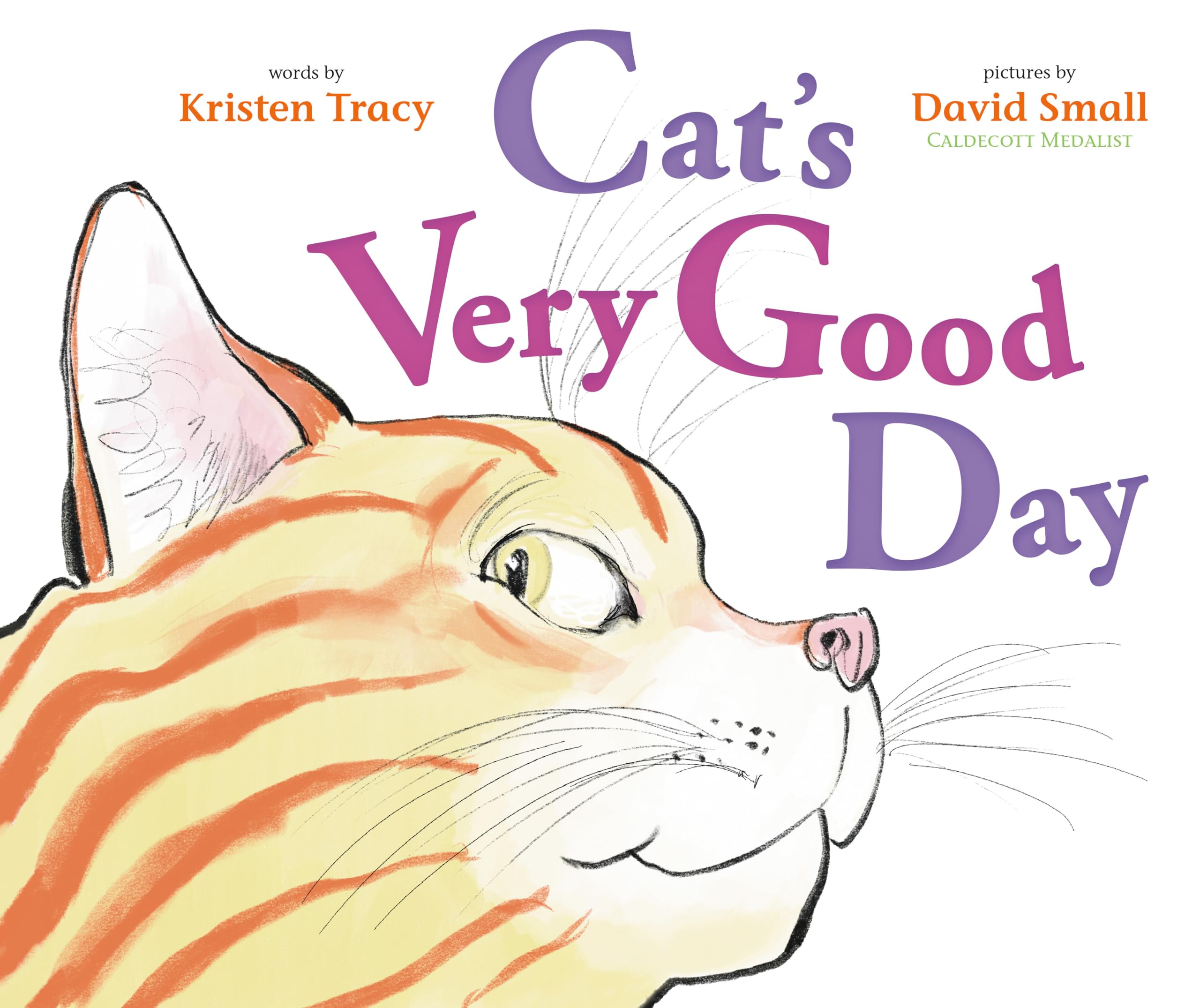 Cat's Very Good Day - Premium Cat Toys & Gifts for Happy Kittens | Perfect for Playtime, Training & Bonding with Your Feline Friend