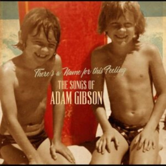 Adam Gibson LP - Songs of Adam Gibson | Folk & Acoustic Music Vinyl Record | Perfect for Relaxing at Home or Gifting to Music Lovers