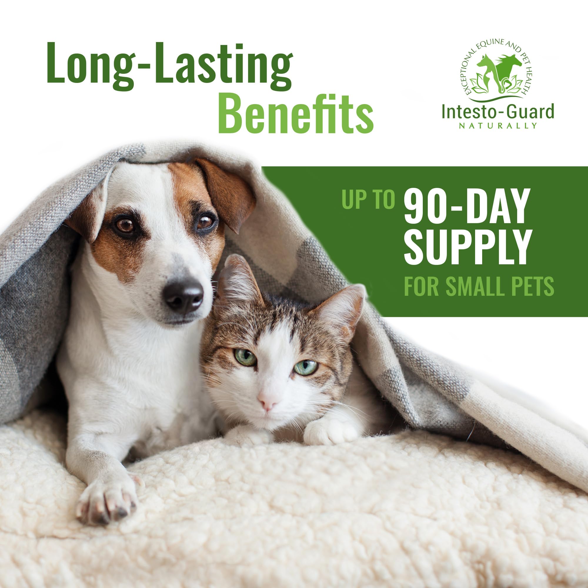 Premium Probiotic & Prebiotic Powder for Dogs & Cats - 180G All-Natural Digestive & Immune Support | Promotes Healthy Gut Flora & Nutrition | 90 Day Supply (6 Pack) - Ideal for Daily Pet Wellness & Digestive Health Maintenance