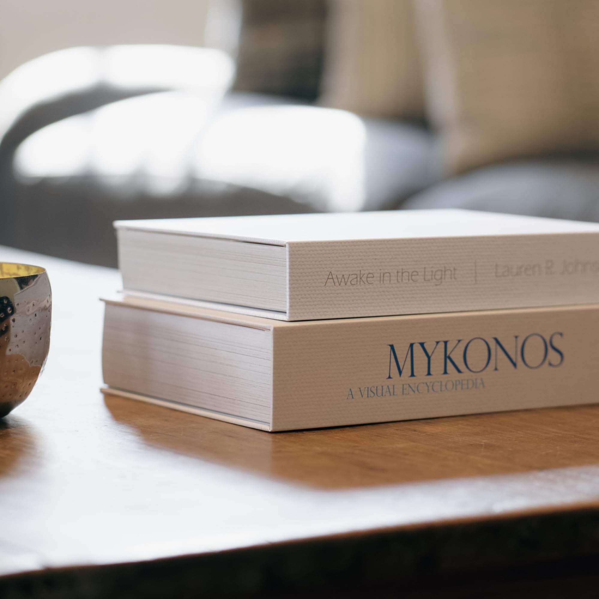 12 Grey Faux Books - Modern Home Decor for Coffee Table & Shelf Styling