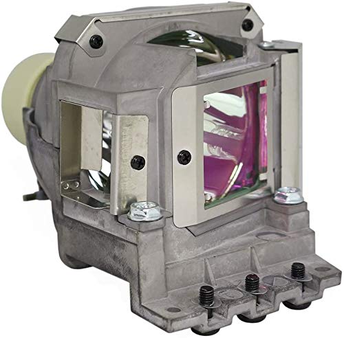 Original Philips Bulb InFocus SP-LAMP-095 Projector Replacement Lamp - Compatible with Home Theater, Office Presentations & Classroom Projectors