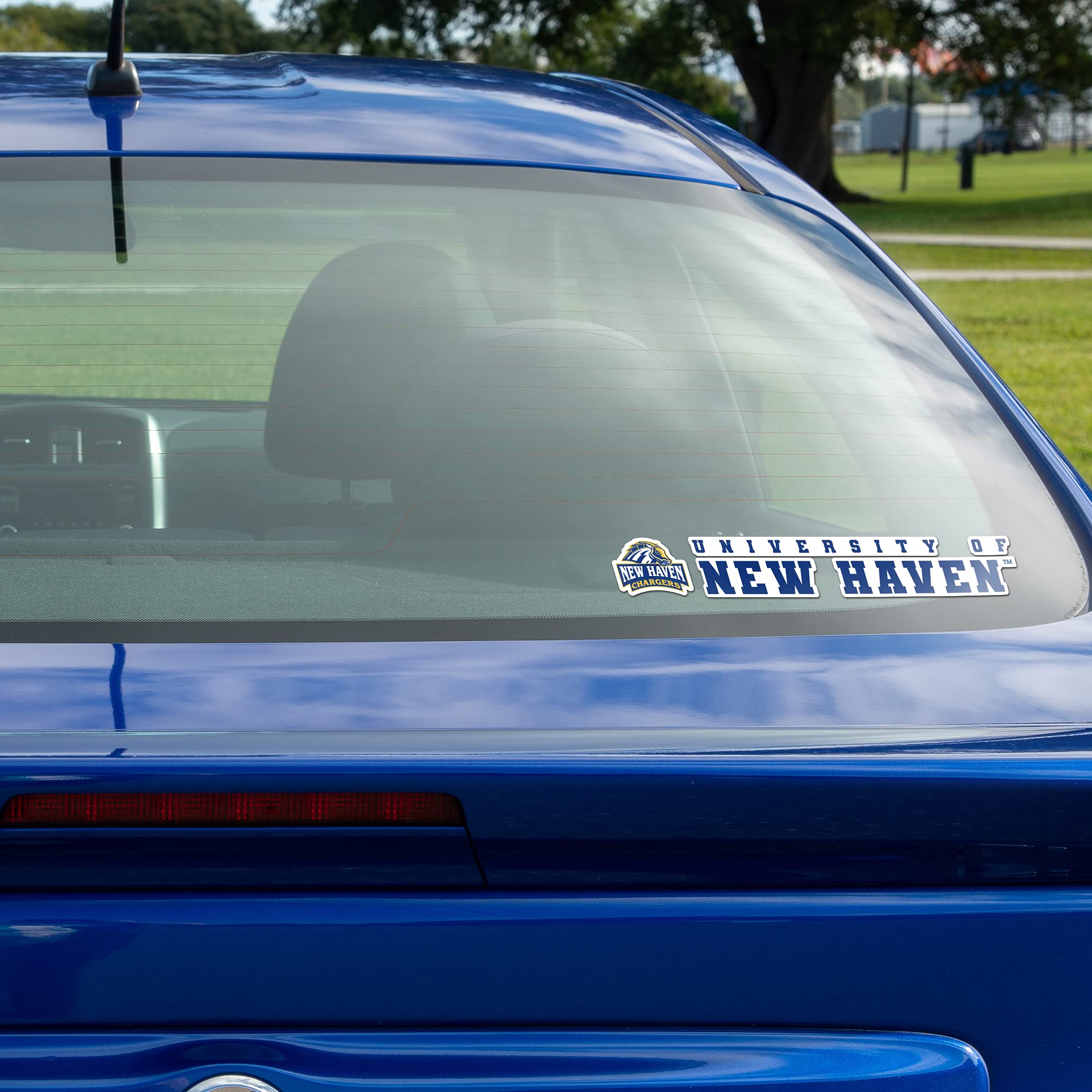 UNH Chargers Vinyl Decal Sticker - 8 Inch Desert Cactus University of New Haven Logo for Laptop, Water Bottle, Car & Scrapbook - Perfect for School Spirit, College Pride & DIY Crafts