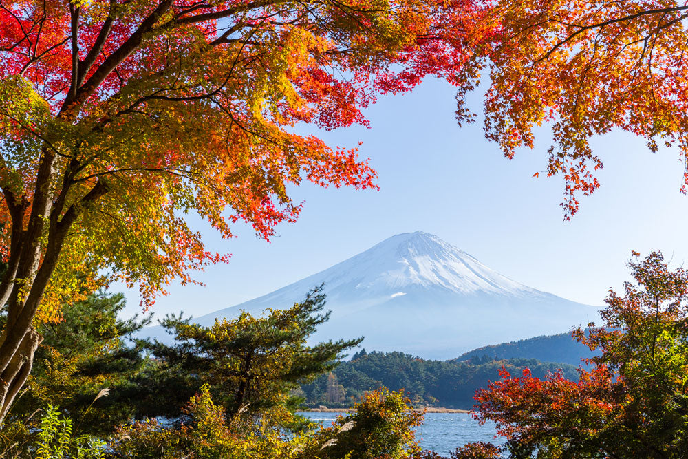 Leica Photo Adventure: Japan - November 9-18, 2025 | Photography Tour & Workshop | Capture Stunning Landscapes & Culture