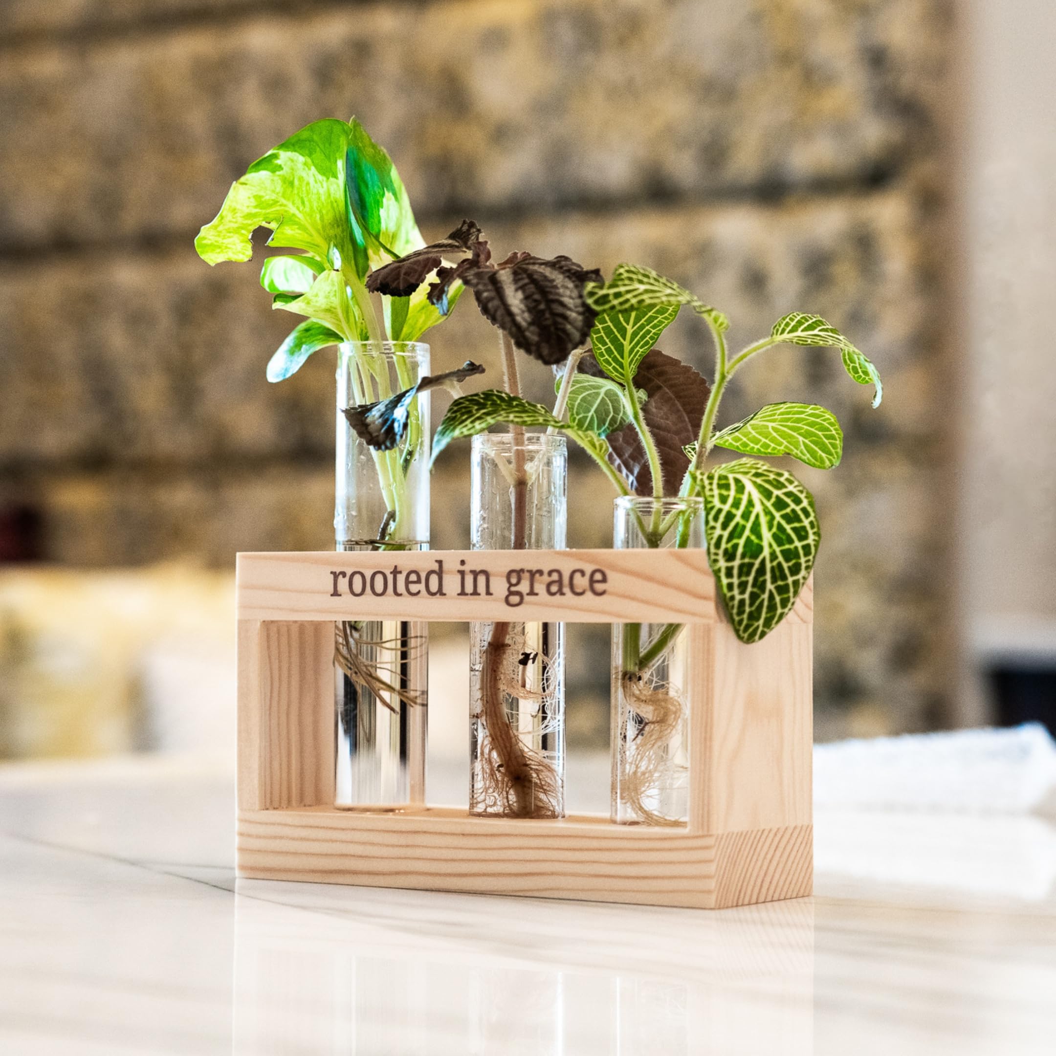 Rooted in Grace: Plant Propagation Station with Glass Vases - Unique Christian Gift Set for Women & Moms, Indoor Planter & Home Decor for Faith-Inspired Living Rooms, Kitchens, or Office Spaces