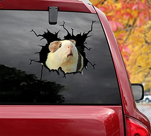 3-Pack Guinea Pig Car Stickers & Decals - 12