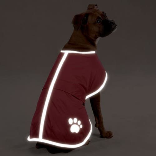 Nor'Easter Dog Coat - Waterproof & Windproof Winter Blanket for Dogs - Keep Your Pet Warm in Cold Weather - Perfect for Outdoor Adventures, Hiking, and Snowy Days