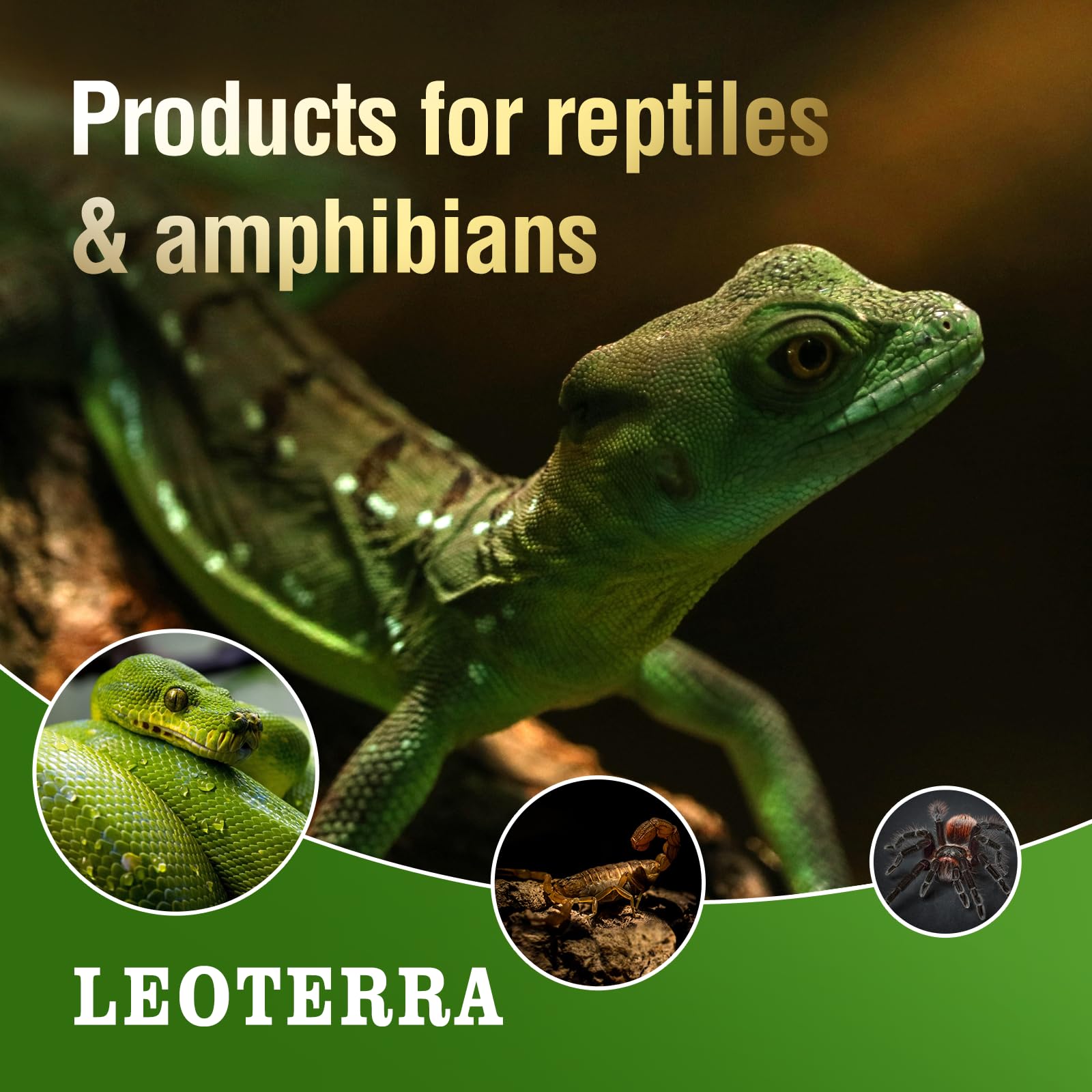 Leoterra 2-Pack 75W Ceramic Heat Emitter Bulb - Infrared Reptile Heat Lamp for Terrariums, Chicken Coops & Pet Homes - No Light Emission, Durable Ceramic Heating for Lizards, Snakes, Dogs, Cats & Hedgehogs - Perfect for Nighttime Heating & Winter Warmth