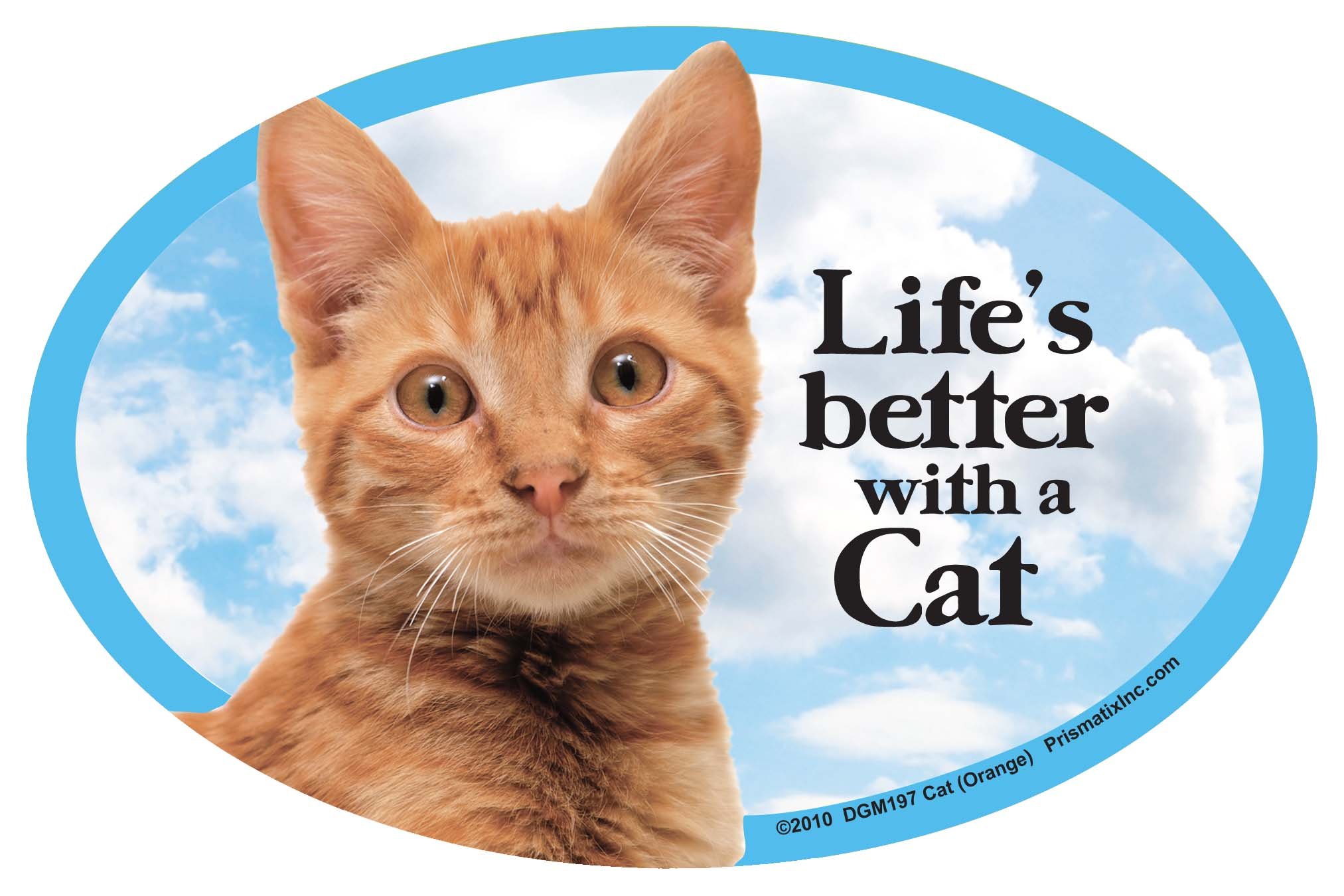 Orange Cat & Dog Magnets for Fridge & Whiteboard Decor