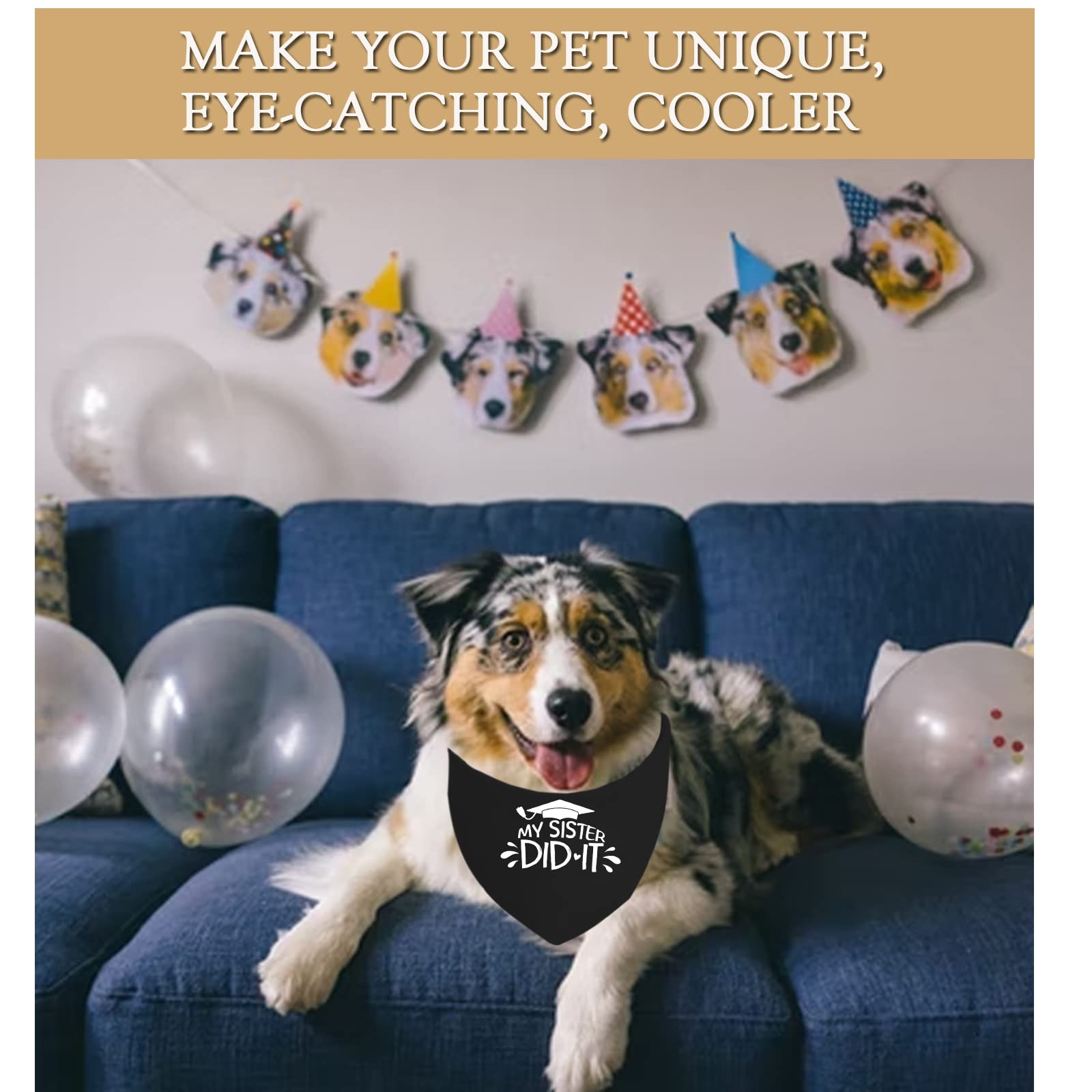Dog Graduation Bandana - JXGZSO Pet Gift for Celebrations